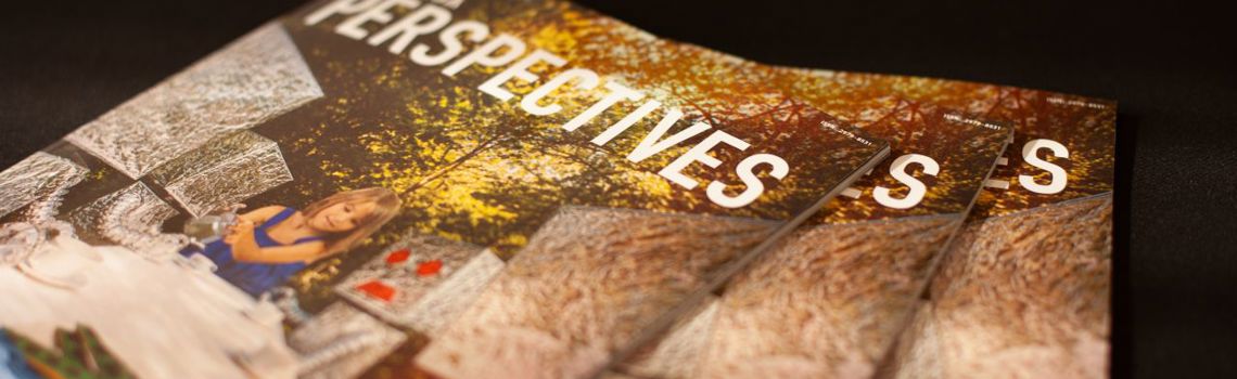 Launch of Saviesa "Perspectives" publication